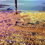 Photo by Sun Ah Hwang (@hsuna)