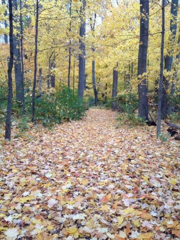 JB111516's tweet image. Out here in the woods. #educationclass