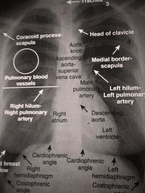 TRAUMA-SURGERY ARABS tweet media