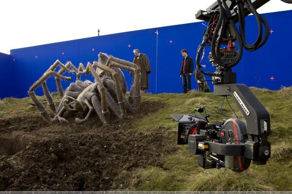 BehindCam's tweet image. Aragog's corpse in "Harry Potter and the Half-Blood Prince".