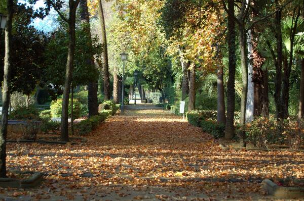 Lugares_Spain's tweet photo. #MaravillasDelOtoño #España #SEVILLA http://t.co/lsknz29fCi