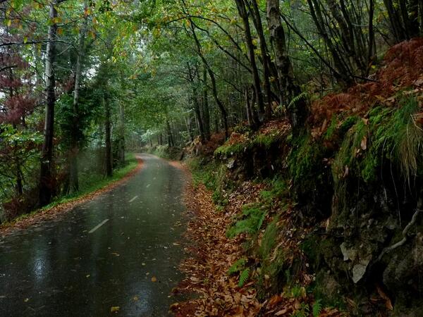 Lugares_Spain's tweet photo. #MaravillasDelOtoño #España #ASTURIAS (el paisaje asturiano es uno de mis preferidos) ¿Cuál es el tuyo? #Mencionanos http://t.co/E9gMUpWxwc