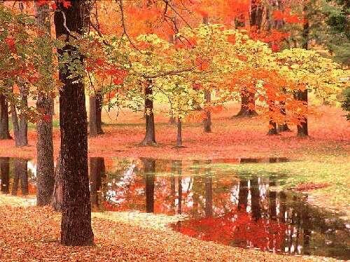 Lugares_Spain's tweet photo. El otoño es una segunda primavera, cuando cada hoja es una flor. (Albert Camus) #DaAconocerEspaña @Lugares_Spain http://t.co/YtNxZ3M6AN