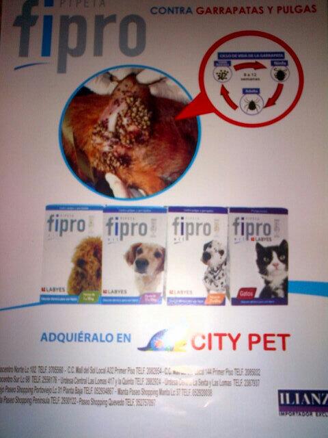 citypetec's tweet photo. Protección total pulgas&amp;garrapatas. @citypetec Portoviejo, Peninsula, Manta, Quevedo. Los mejores $$$ y promociones!! http://t.co/E16o7cyKht
