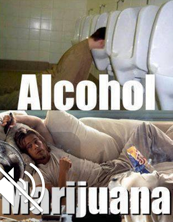 Smoke Some Weed on Twitter: "Alcool vs Weed http://t.co/L8rU7de8Kn&quo...