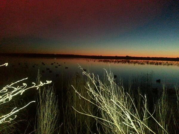 ShaneHall's tweet photo. Wow the bird population is amazing at the bottoms.13 minutes until the fun begins!!!! http://t.co/weA5M4Ccrc
