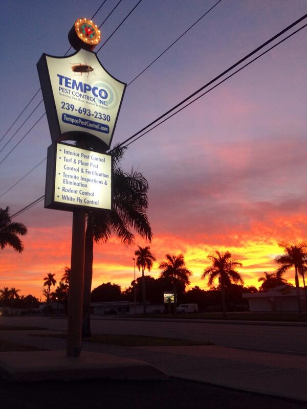 Tempco Pest Control Tempcopest Twitter