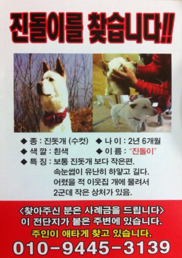 keumkangkyung's tweet photo. 전남구례에서 할아버지를 돌봐왔던 진돌이에요. 도와주세요. http://t.co/gfjWcy0OYx