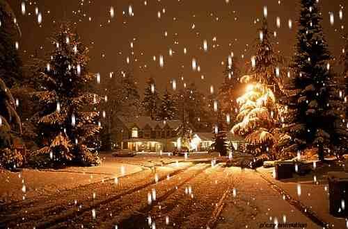 ChristmasCount's tweet photo. ❄️⛄️🎄🎅❄️⛄️🎄🎅❄️⛄️🎄

RT if you want snow like THIS at Christmas!!! 

❄️⛄️🎄🎅❄️⛄️🎄🎅❄️⛄️🎄 http://t.co/bxzfVgD1q0