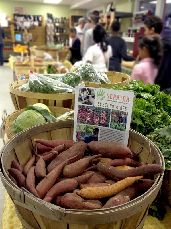 wvsu_extension's tweet image. Get sweet potatoes grown by our own #SCRATCHProject kids at @TheWildRamp in Huntington! bit.ly/1beb4h9