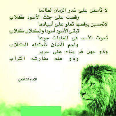AlkingMu tweet picture