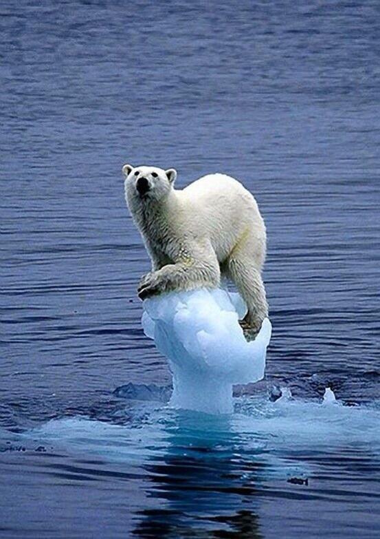 _Paisajes_'s tweet photo. Buenos días RT para concienciarnos. http://t.co/ULEB6Da1w1