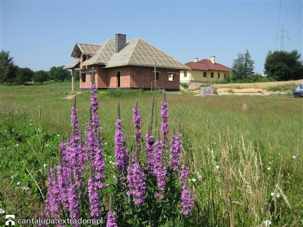 Chcecie zobaczyć jak teraz wygląda ten piękny DANDYS 1 G2 ze zdjęcia? Zapraszamy na bit.ly/17akN5c