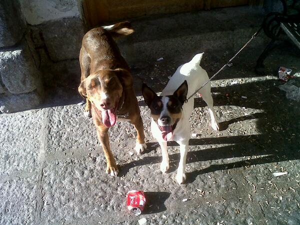 javizarzu's tweet photo. @xinoanton http://t.co/eO2h2XgQ7P