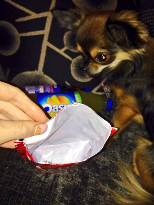 Swear to god someone just crept into my house and ate all of my maltesers.. I do not remember eating<a href="/tag/mylittlefamily"class="tags"><span>#mylittlefamily</span></a>