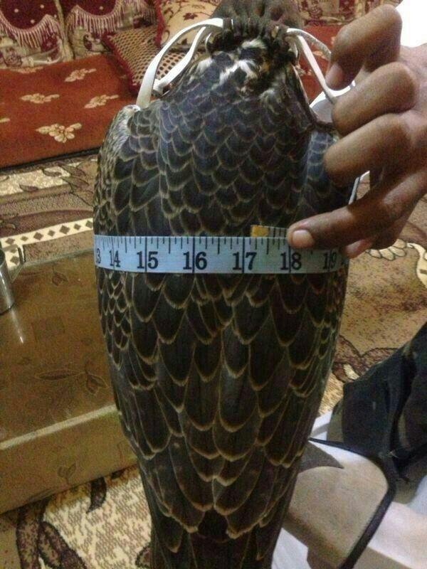 oomer3's tweet photo. “@s3d_8080: “@w_c2: ابشركم انطرح بالعراق شيهانه طولها وعرضها 17 /17 http://t.co/99vKCL3XiH””