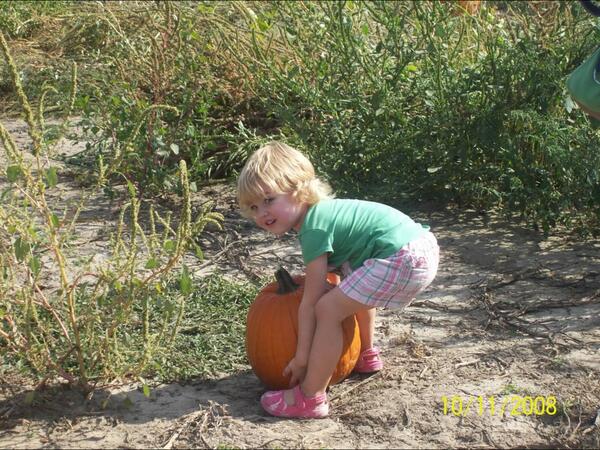 clmat24's tweet image. #tbt Fall 2008...the pumpkin was bigger than her #ourprincess #fall2008