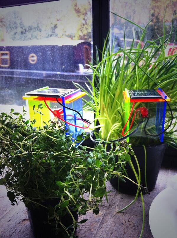 techwillsaveus's tweet image. Great afternoon of Thirsty plant making @WolffOlins #HowToJump lots of happy plants in the room!