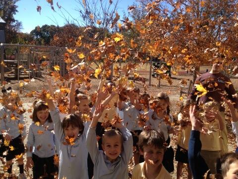 spbristow1's tweet photo. Glorious day in First GrAde! #trinitylearns http://t.co/esUg5Z1PHB