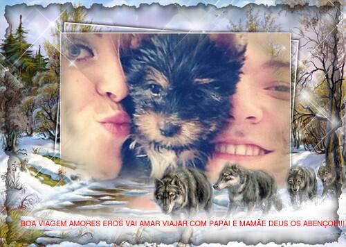 Link permanente da imagem incorporada