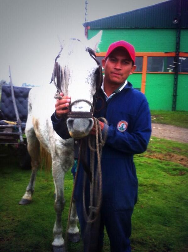Bogota's tweet photo. ¿Ya conoces a Palomo?
Es nuestro amigo número 2.000 en el programa de sustitución de Vehículos de Tracción Animal. http://t.co/tSrHGwHBOJ