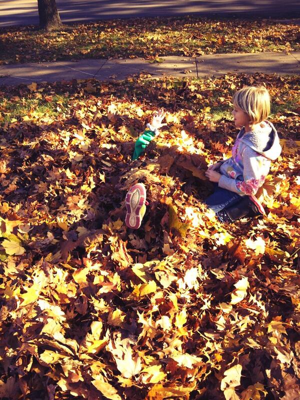 SeaSalt11's tweet image. Raking leaves! But really just playing... #falltimefun