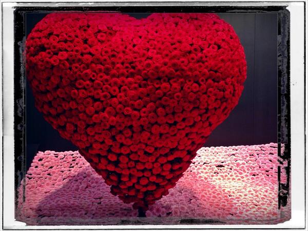 FRANKOADA's tweet photo. Op Tradefair Aalsmeer de stand van Schreurs rozen, hartstikke mooi! http://t.co/wNJw1Cg9qe