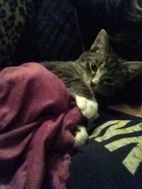 ThatBieberTrill's tweet photo. Little baby☺️💗 http://t.co/1jUoigPfwd