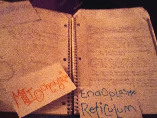 maddie_atwood's tweet image. hah you can leave 🔫 #sciencetest #studying