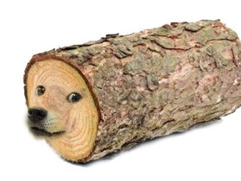 DogeTheDog's tweet image. Loge