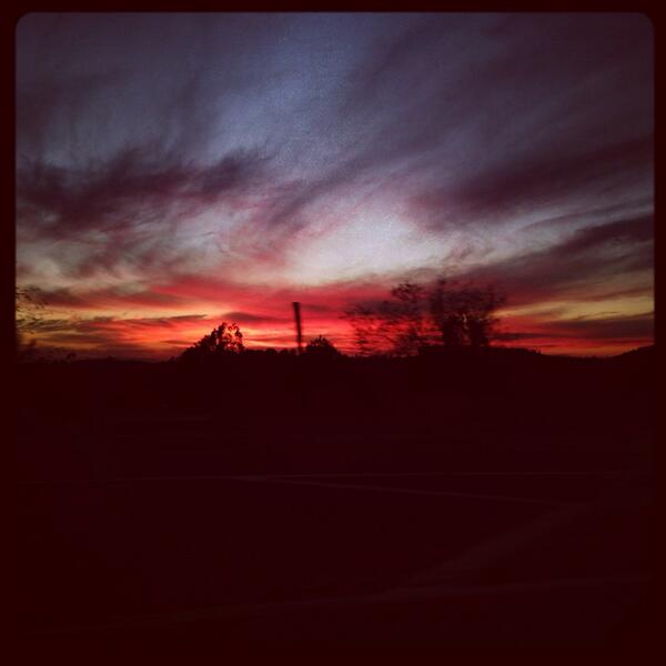 Beth Finley (@bethief) on Twitter photo 