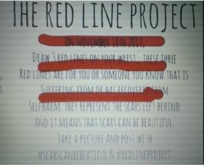 tracy_wetzel's tweet image. #goal #RedLineProject