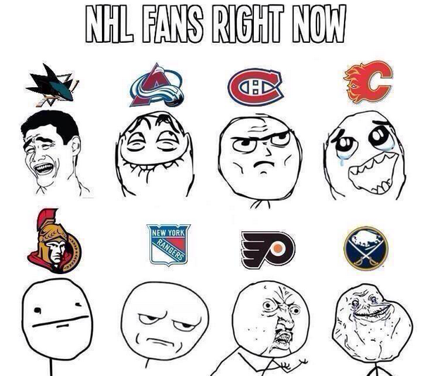 DangleFest13's tweet image. Sums up NHL fans
