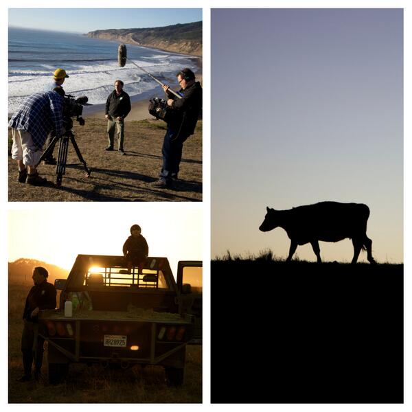 BigStarPictures's tweet photo. Filming on Bill Niman’s Ranch in Bolinas, CA

#eatinganimalsfilm, #eatinganimals, #jonathansafranfoer, #billniman, http://t.co/Qlurz8nhbY