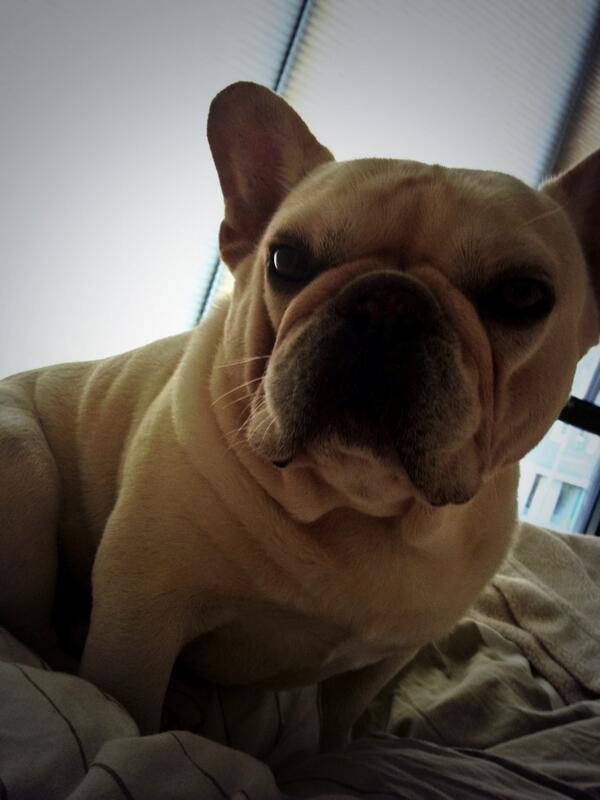 Spuders's tweet image. @MaelleSGO