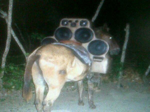 victor10017's tweet photo. Por fin vierneeeeeess!! Esta noche toca botellon o q? Jajajajajajaj http://t.co/IqezwdvkPY