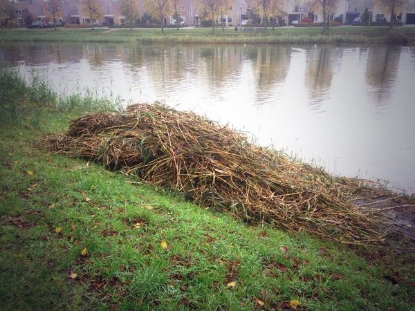 Er komt heel wat vanaf.