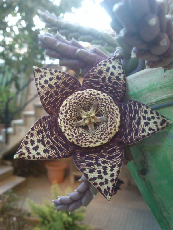 arsotu's tweet photo. Natura de tardor... http://t.co/qr8DDdYEbP