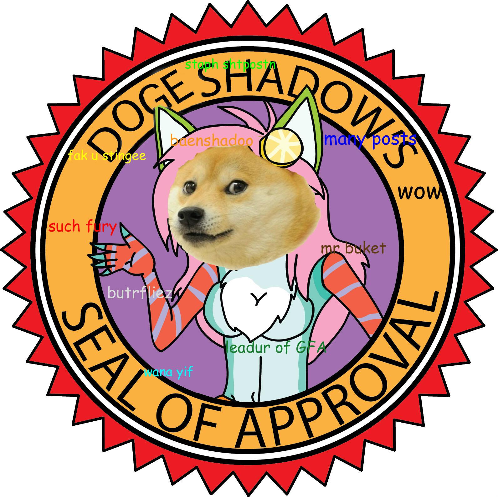 CHAT Image