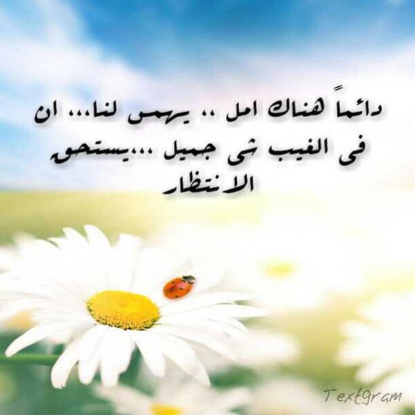 ibrahemytrf's tweet photo. http://t.co/GLFOWepJKp