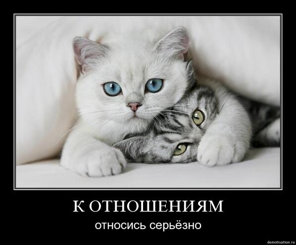 ykatron4's tweet image. #незабываемо Это только мы, когда прощаемся, говорим "ДАВАЙ".