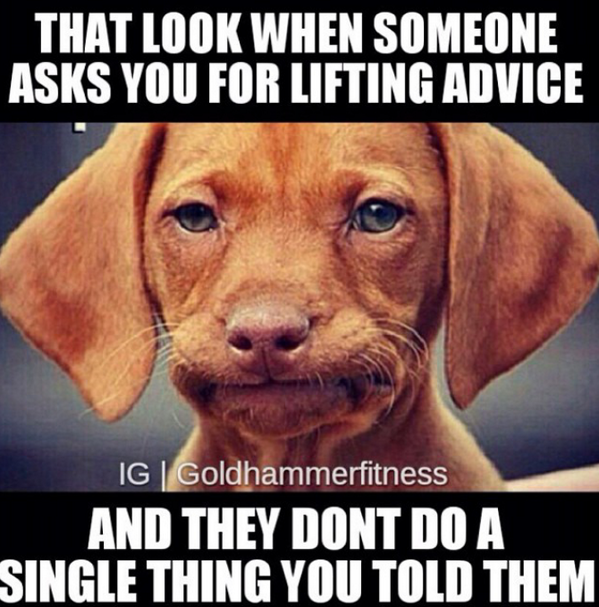 Nine2Fit's tweet image. Everybody wants free lifting and nutrition advice but ain't nobody willing to do sh!t with it #Imdone #youreonyourown