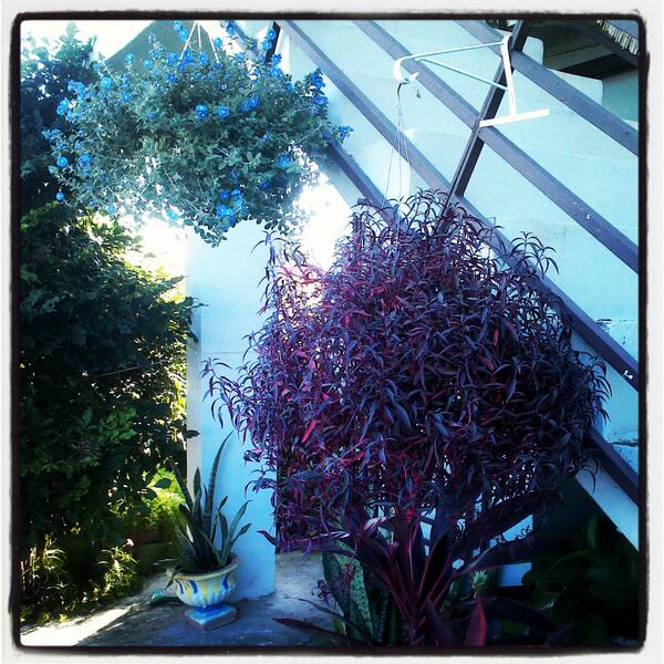Eggie1022's tweet photo. A room with a view http://t.co/lCqmtDZuTI