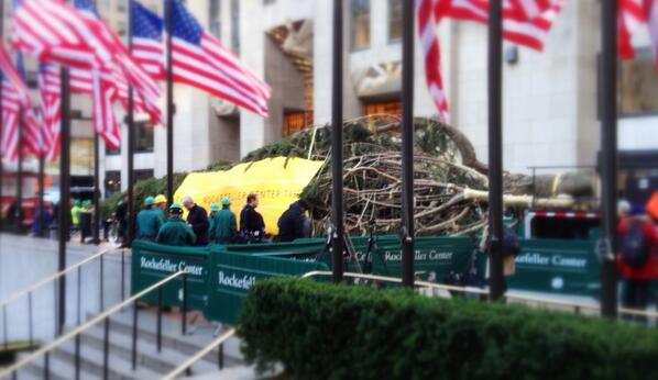 weatherchannel's tweet image. RT @twcMariaLaRosa: Hello, gorgeous! Welcome home @30RockTree &amp;lt;3