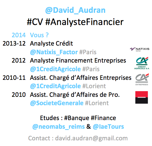 CV d'un Analyste Financier publié sur Twitter (@David_AUDRAN)