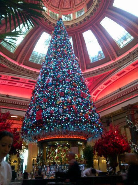 Scott Simpson tweet media