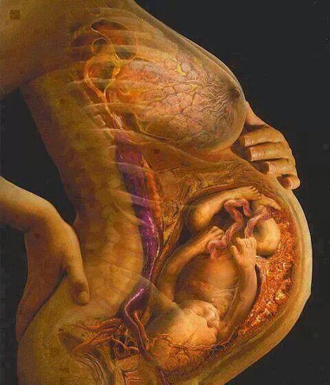 clarewis's tweet photo. http://t.co/A2yFwzNTXJ