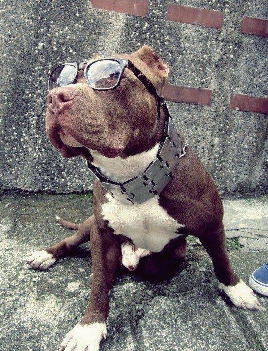 andreihow's tweet image. 