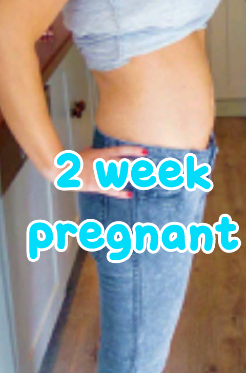 BrookeCookiex's tweet photo. Well guess what guys me and @DeadlyViperRKO are two weeks pregnant http://t.co/OlPitT5ym6