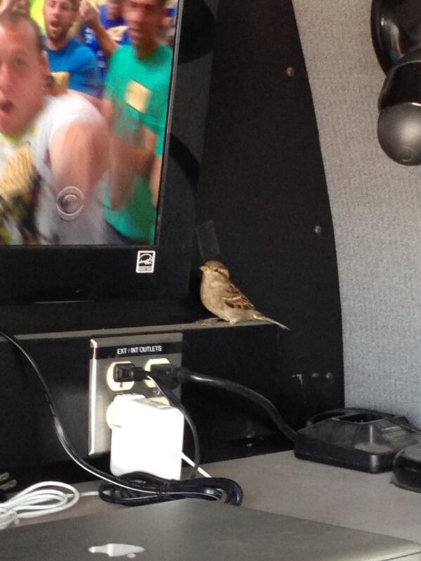 ohsusannasong's tweet photo. Look who's tweeting in the #cbschicago live truck! http://t.co/pA7GpTDsWj